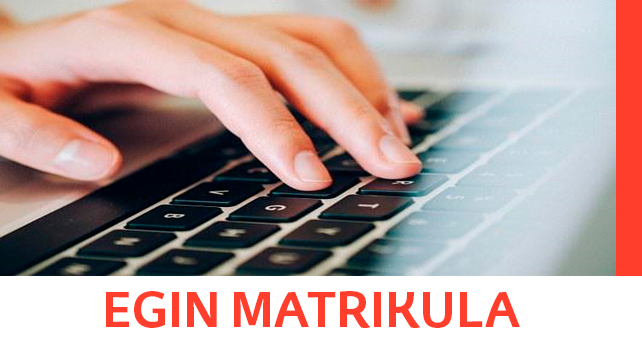 Egin matrikula